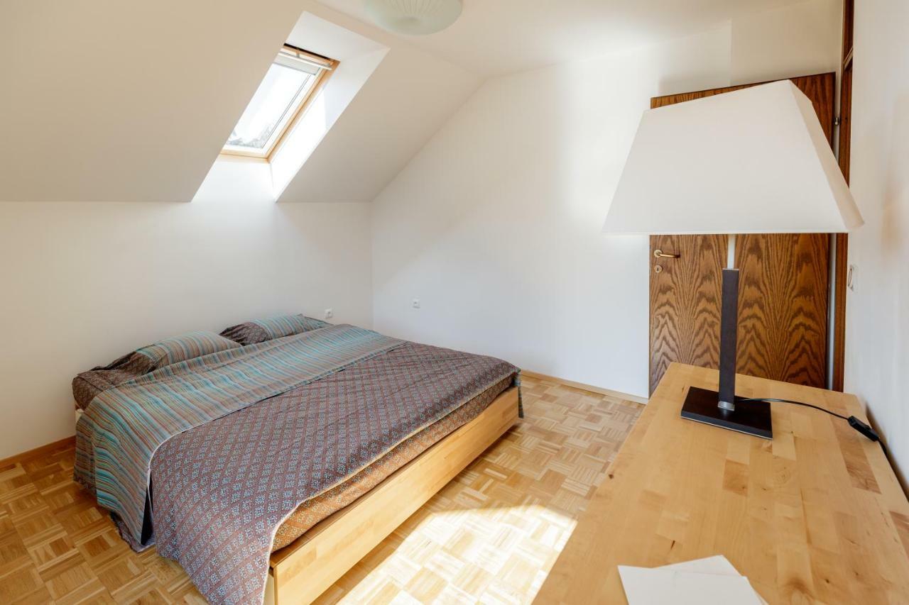Cosy & Spacious Apt. Benc Zirovnica Exterior photo